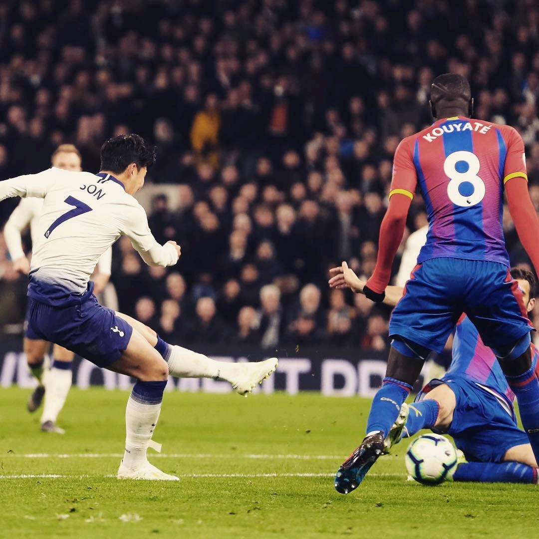 展现他们的 展现他们的